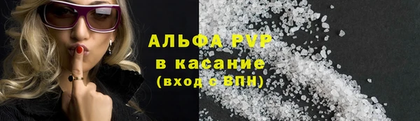 гидра Новозыбков
