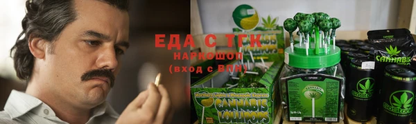 гидра Новозыбков