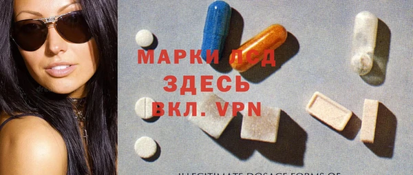 гидра Новозыбков