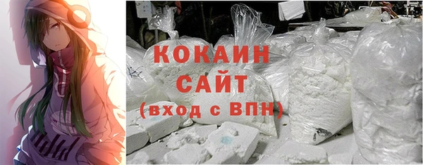 гидра Новозыбков