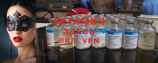 гидра Новозыбков