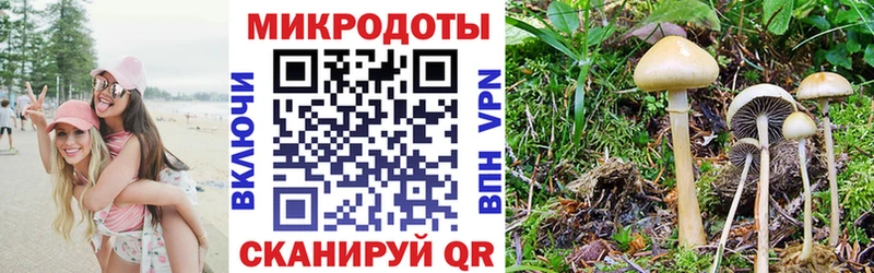 Галлюциногенные грибы прущие грибы  купить наркотик  Зеленодольск 