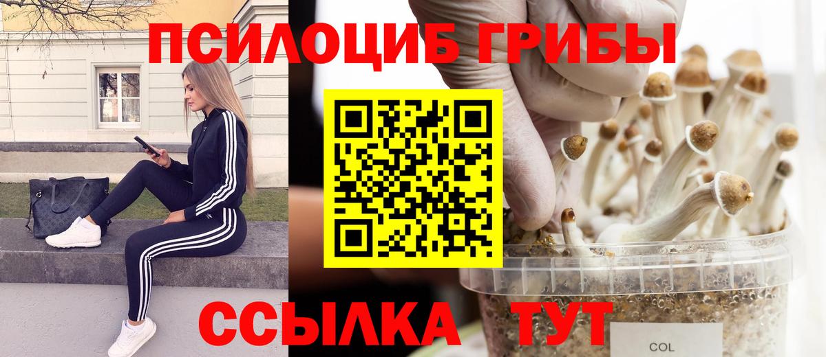 Псилоцибиновые грибы прущие грибы Зеленодольск