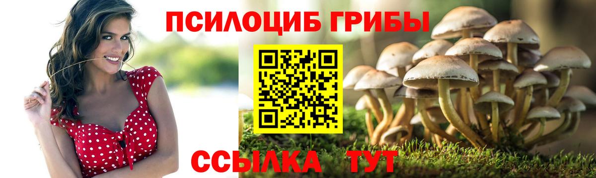 Зеленодольск  Псилоцибиновые грибы Magic Shrooms  купить наркоту  Вход с VPN 