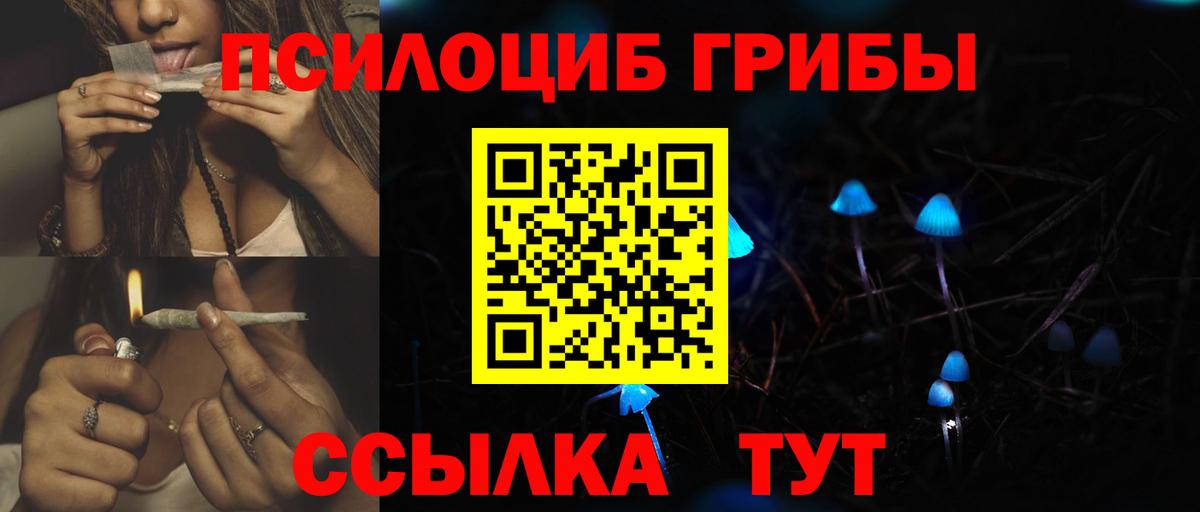 Галлюциногенные грибы ЛСД Зеленодольск