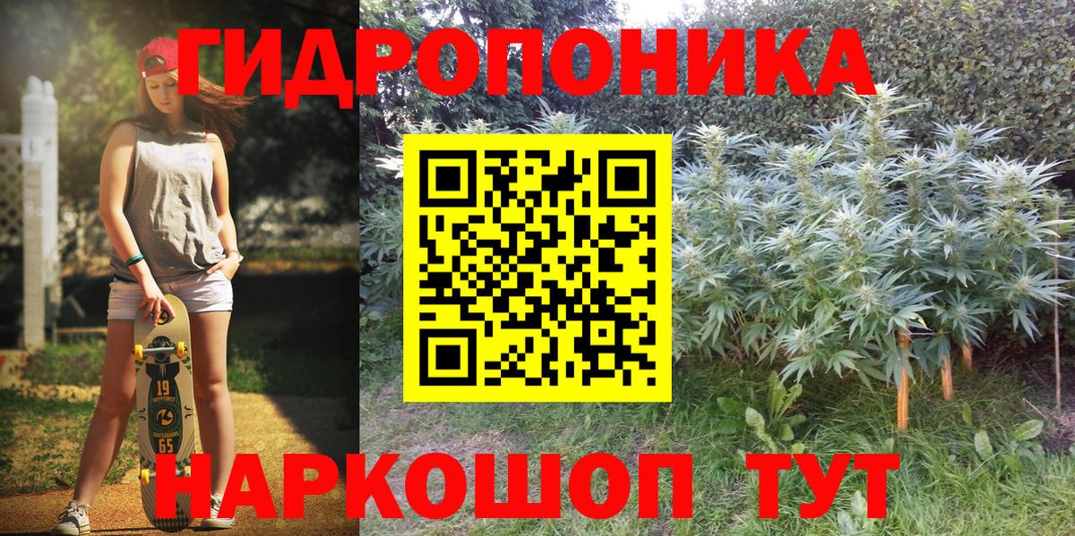 Бошки марихуана планчик Зеленодольск